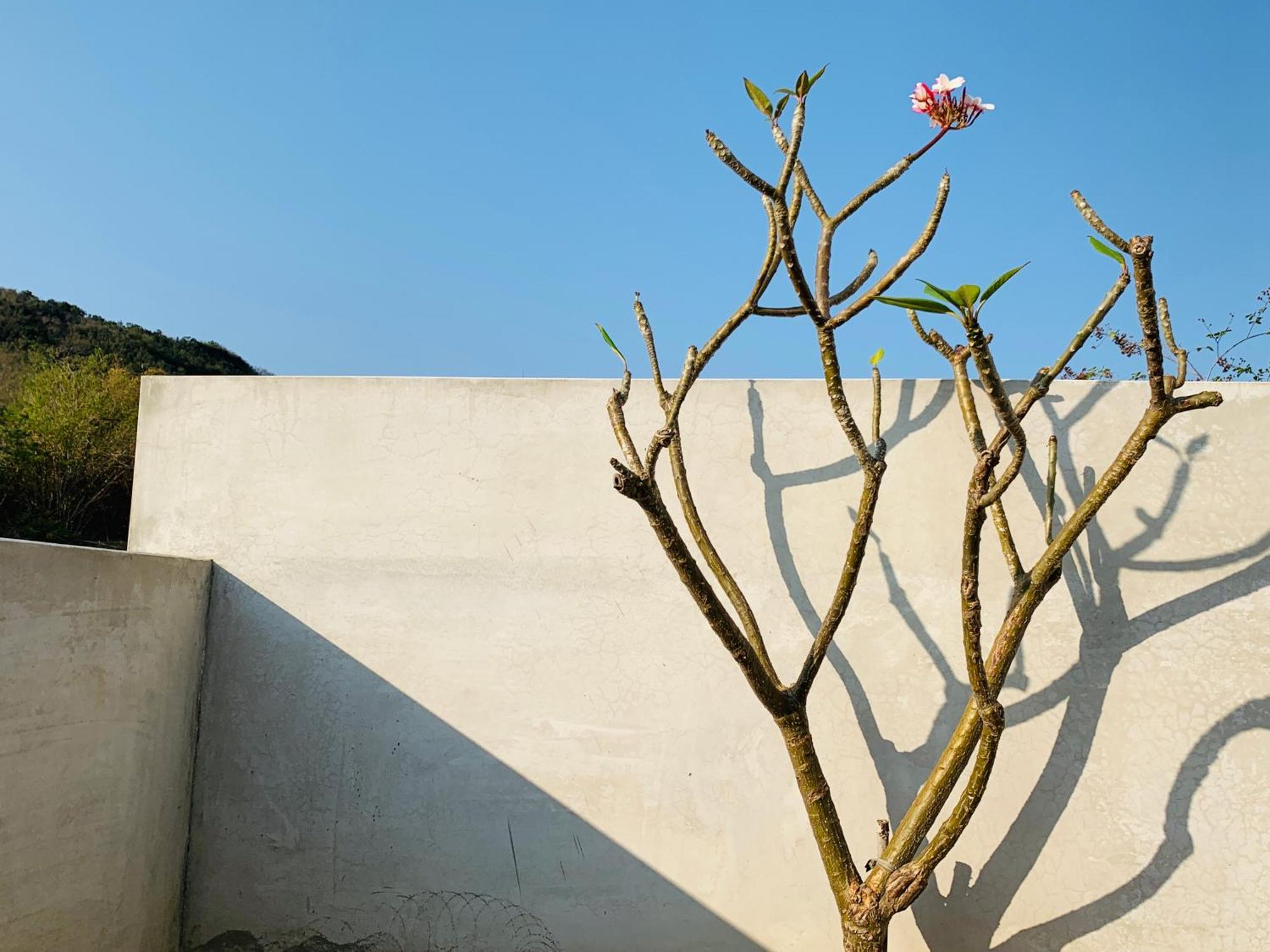 墾丁后灣仙杜瑞拉海景旅宿 Checheng Εξωτερικό φωτογραφία
